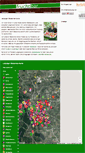 Mobile Screenshot of frucht-bar.org